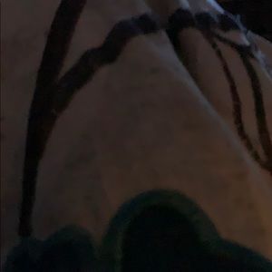 Meet your Posher, Bird